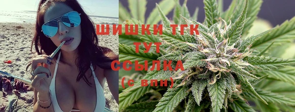 тгк Белокуриха